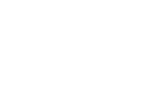 Blueberry Corner par David. Photographe de boudoir et photo glamour et de grossesse à Lyon Logo